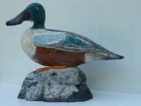 /album/galerie-photos/souchet-2-jpg/